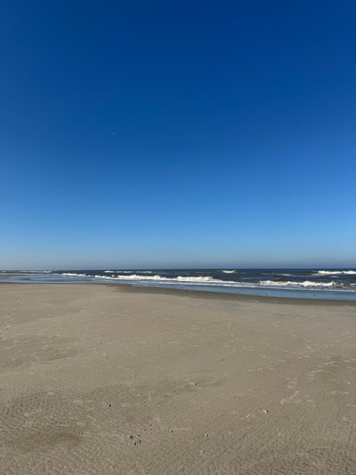 Duenenrose Am Nordstrand نورديرني المظهر الخارجي الصورة